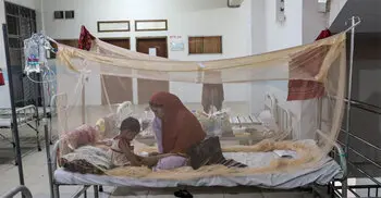 Another dies from dengue; death toll stands at 33 this year