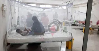 2 dengue patients die, 180 hospitalised in 24 hrs