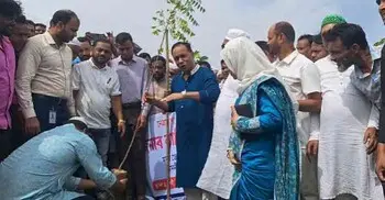 উপড়ে ফেলা চারার জায়গায় ফের চারা রোপণ করলেন ডেপুটি স্পিকার