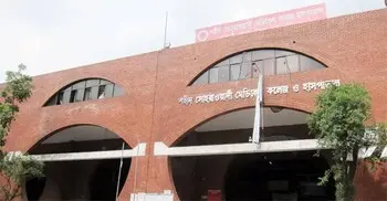 হাতে থাকা ব্যাগে ছিনতাইকারীর টান, রিকশা থেকে পড়ে শিক্ষিকার মৃত্যু