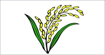 ধানের শীষ পেলেন ১০ আইনজীবী