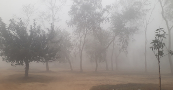 কুয়াশার চাদরে ঢাকা পড়েছে দিনাজপুর