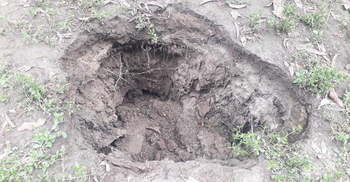 দিনাজপুরে বিকট শব্দে গর্তের সৃষ্টি, এলাকায় আতঙ্ক