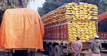 হিলি স্থলবন্দর দিয়ে ভারত থেকে চাল আমদানি শুরু