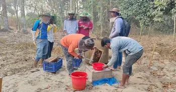 দিনাজপুরে সজিনা ফুল থেকে বাণিজ্যিক মধু উৎপাদনে সফল ৪ তরুণ