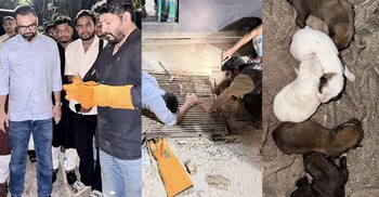 গভীর রাতে মন্ত্রীর কুকুরছানা উদ্ধার অভিযান