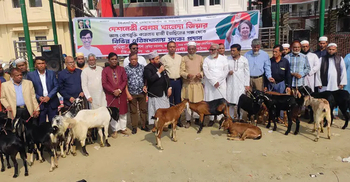 খালেদা জিয়ার সুস্থতা কামনায় কুমিল্লায় এতিমখানায় পশু সদকা