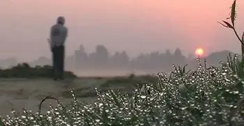 শীতের দাপট কমেছে, দেশের কোথাও শৈত্যপ্রবাহ নেই