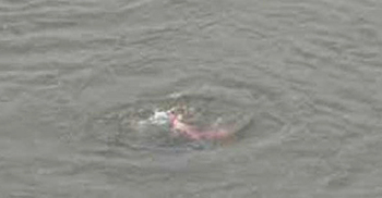 নানাবাড়িতে এসে নদীতে ডুবে প্রাণ গেলো দুই শিশুর