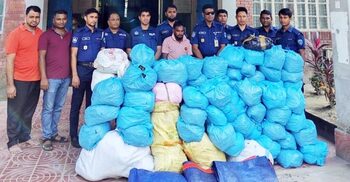 ইউপি সদস্যের বাড়ি থেকে ১০০ কেজি গাঁজা উদ্ধার