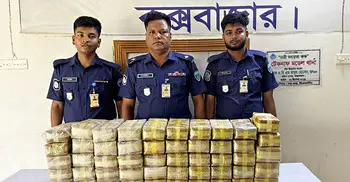 টেকনাফে মুরগির খামার থেকে ৫ লাখ পিস ইয়াবা উদ্ধার