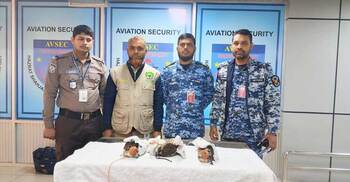 শাহজালাল বিমানবন্দরে চোরাচালানের সময় ৩ ঈগল উদ্ধার
