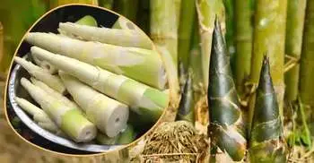 হৃদয় সুস্থ রাখতে ‘বাঁশ খান’