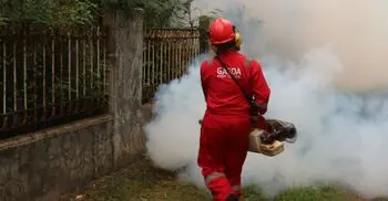 Bangladeshi farmers embrace eco-friendly pest control methods