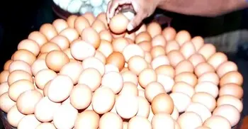 ডিম কিনতে হিমশিম খাচ্ছেন নিম্ন আয়ের মানুষ