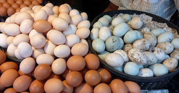 ফেনীতে হাঁসের ডিমের হালি ৭২ টাকা, মুরগি ৬২