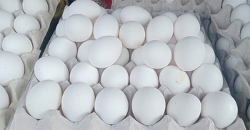 ইংরেজি নববর্ষের আগেই কলকাতায় বাড়লো ডিমের দাম