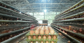 স্বস্তিতে খামারিরা, অস্বস্তি ক্রেতার