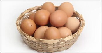 Govt allows 4 companies to import eggs