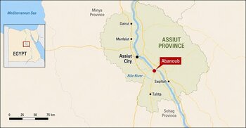 Gunman kills eight in southern Egypt attack