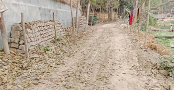 সরকারি রাস্তার ইট তুলে অবৈধভাবে মাটি বহনের অভিযোগ
