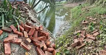 কুমিল্লায় সড়কের ৫ হাজার ইট উধাও, উদ্ধার হলো গরুর খামার-পুকুর থেকে