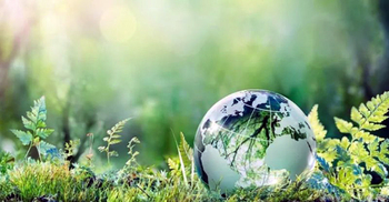 World Environment Day today