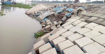 ফরিদপুরে পদ্মা তীর সংরক্ষণ বাঁধে ধস