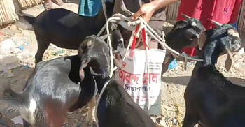 ফরিদপুরে ক্রেতার চেয়ে ব্যাপারী বেশি