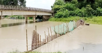 ফরিদপুরে অবাধে চলছে ডিমওয়ালা মাছ শিকার, পোনা নিধন