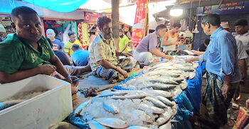 সিন্ডিকেটের কবলে ইলিশের বাজার, বাড়ছে দাম