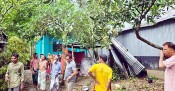 ফরিদপুরে বৈশাখী ঝড়ে ব্যাপক ক্ষয়ক্ষতি, বিদ্যুৎ সংযোগ বন্ধ