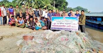 ফরিদপুরে ইলিশ ধরার অপরাধে ২২ জেলের কারাদণ্ড