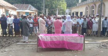 ভীমরুলের কামড়ে মেয়ের মৃত্যু, মা হাসপাতালে