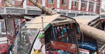 সড়কের ওপর হঠাৎ ভেঙে পড়লো গাছ, অলৌকিকভাবে রক্ষা পেলেন যাত্রীরা