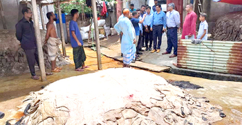 সরবরাহ বেশি থাকায় চামড়ার দাম কিছুটা কম: বাণিজ্যসচিব