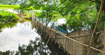 মাছ চাষে যুবদল নেতার দখলকাণ্ড