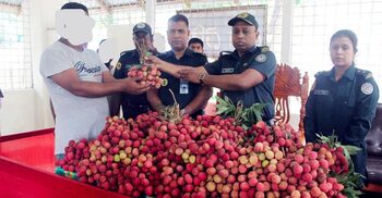 কারাগারে বন্দিদের দেওয়া হলো মৌসুমী ফল আম-লিচু