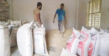 গো-খাদ্যে ভেজাল, দুশ্চিন্তায় খামারিরা