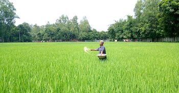 সংকটের মধ্যেই সার কারখানায় গ্যাসের দাম বাড়াতে চায় পেট্রোবাংলা