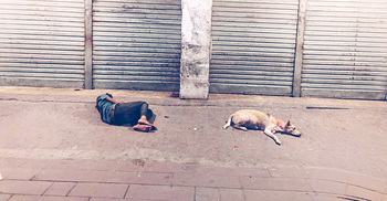 তাদের দায়িত্ব কার!