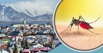 যে দেশে কোনো মশা নেই