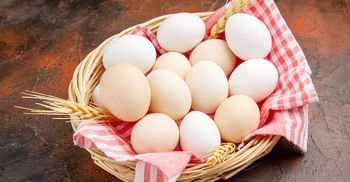 ডিমের যত রেকর্ড