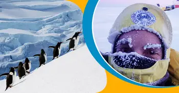 সাদা মরুভূমি অ্যান্টার্কটিকা: শীতের চরম বাস্তবতা