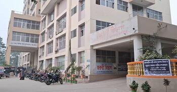 নারীকে বেঁধে নির্যাতনের ভিডিও ভাইরাল, ঘটনার নেপথ্যে যা জানা গেল