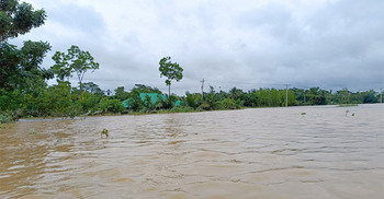 ফেনীতে বন্যায় ক্ষতিগ্রস্ত ৮ লাখের বেশি মানুষ