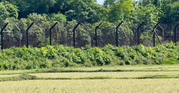 ফেনী সীমান্তে বিএসএফের গুলিতে বাংলাদেশি যুবক নিহত