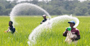 Govt to procure 1,50,000 tonnes fertiliser