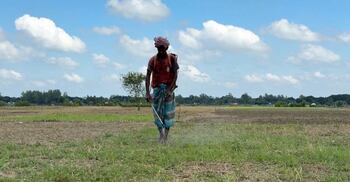 পেঁয়াজ চাষে হতাশা বাড়াচ্ছে সার ‘সিন্ডিকেট’