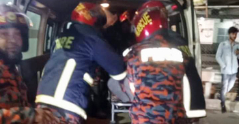 খামারে অগ্নিকাণ্ড, পুড়ে মারা গেলো ১০ গরু